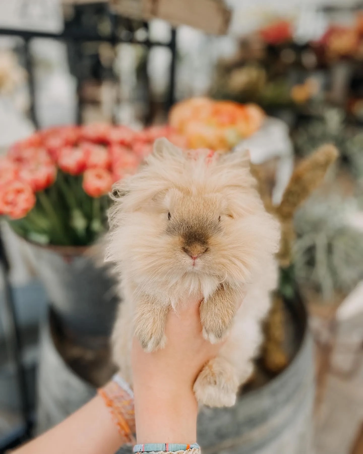 B1BBA112-7F05-499B-AB15-132CD28F8375