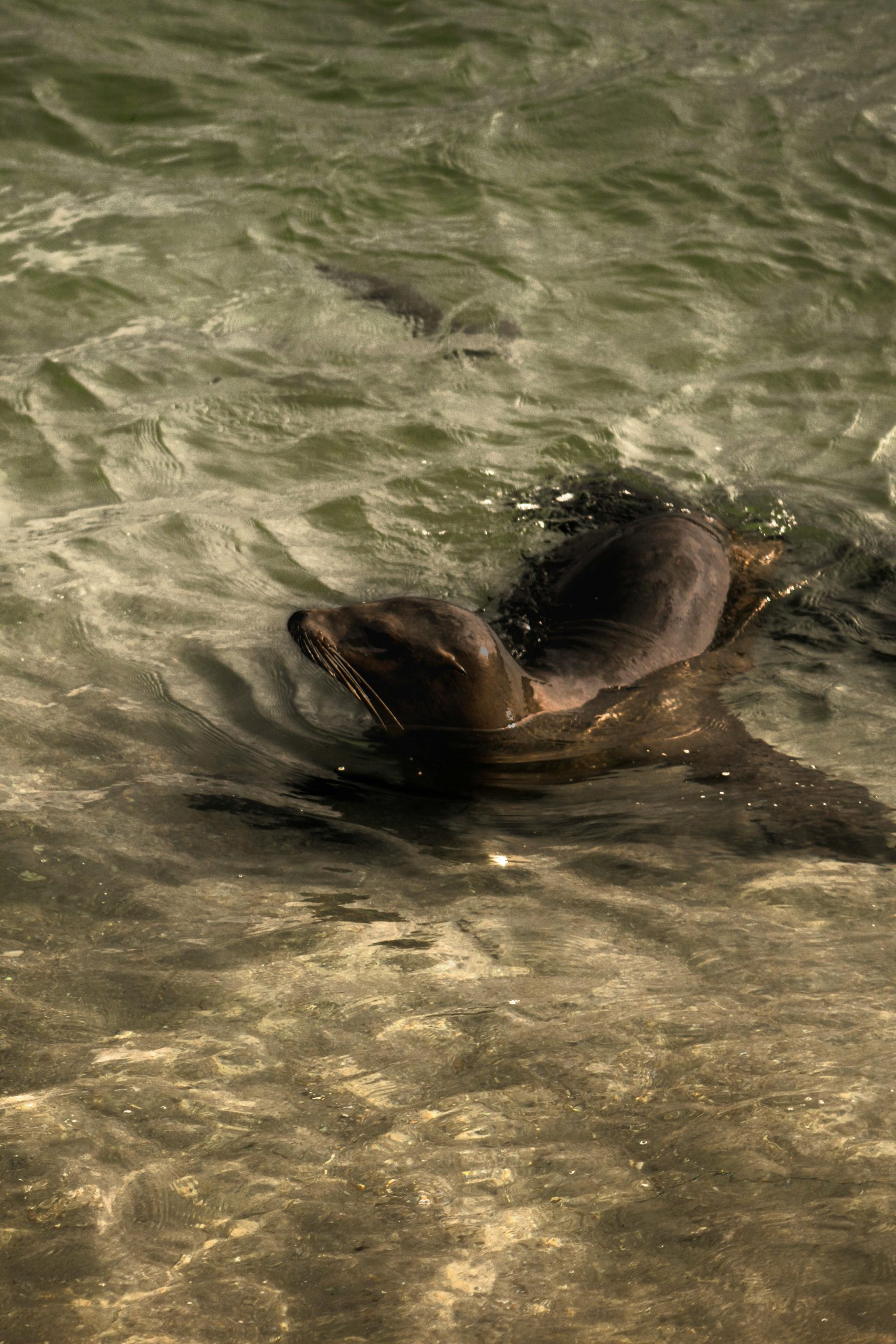 pexels-moonpiczar-30824257